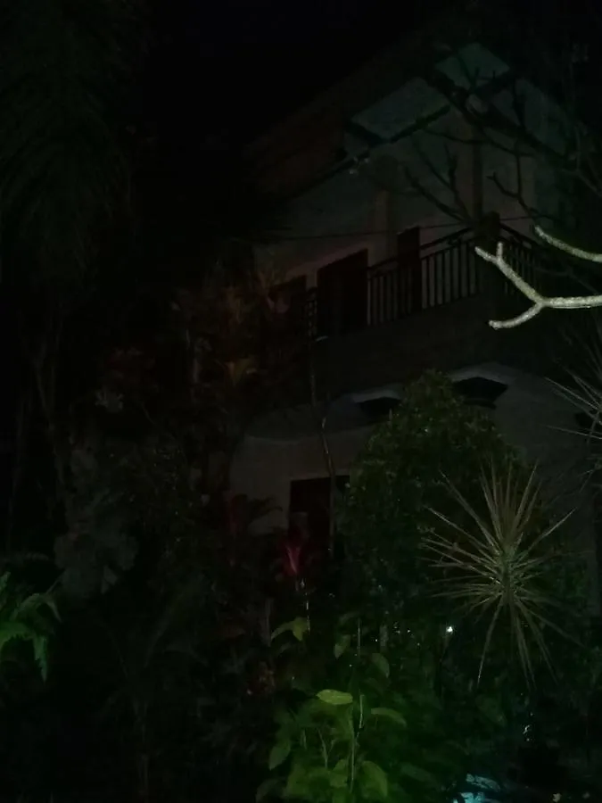 Homestay Nyuh Gading Accommodation Ubud